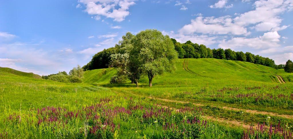 Вільшани з panoramio.com - Ольшаны