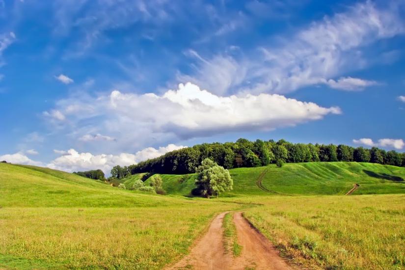 Вільшани з panoramio.com - Ольшаны
