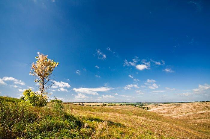 Миронівка з panoramio.com - Мироновка