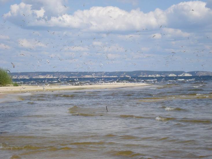 Нагірне з panoramio.com - Nagirne