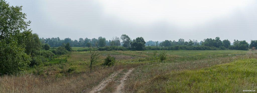 Соколівка з panoramio.com - Соколівка