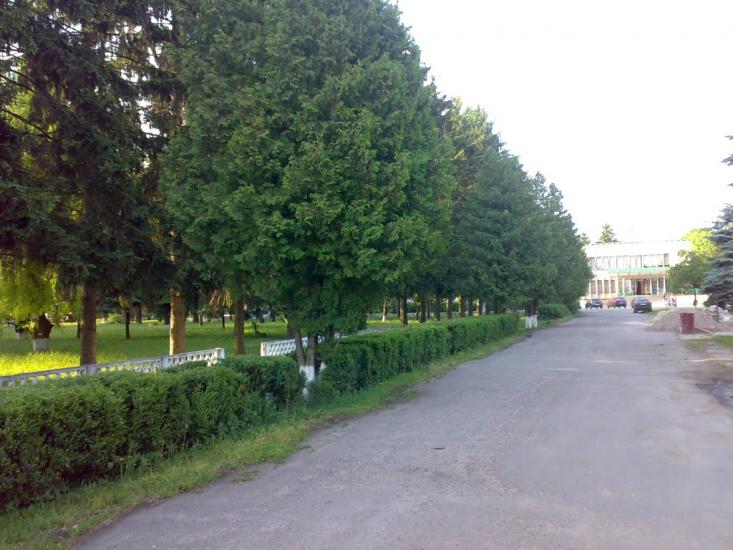 Христинівка з panoramio.com - Христиновка