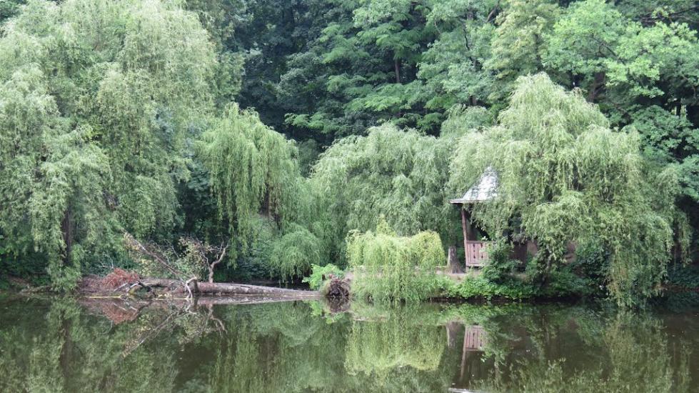 Краснокутськ з panoramio.com - Краснокутск