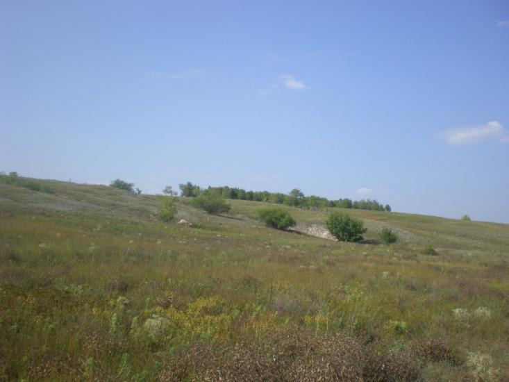 Радісне з panoramio.com - Радостное