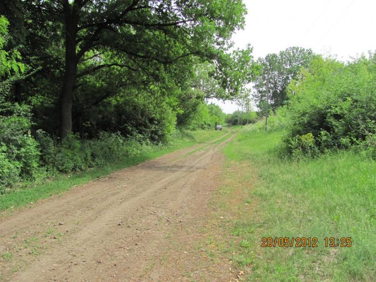 Бузникувате з panoramio.com - Бузникувате