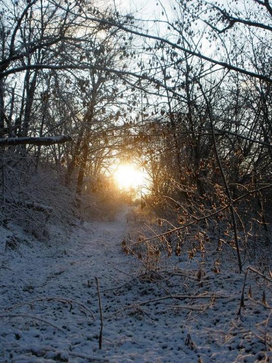 Лохвиця з panoramio.com - Лохвица