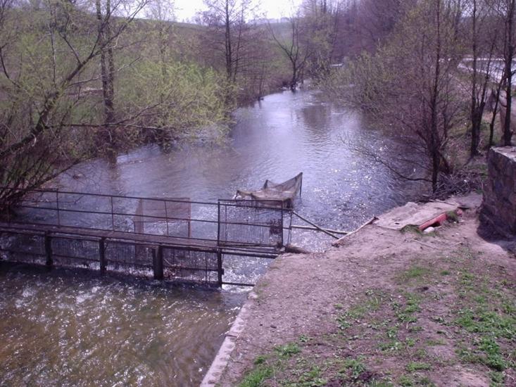 Шаліївка з panoramio.com - Шаліївка