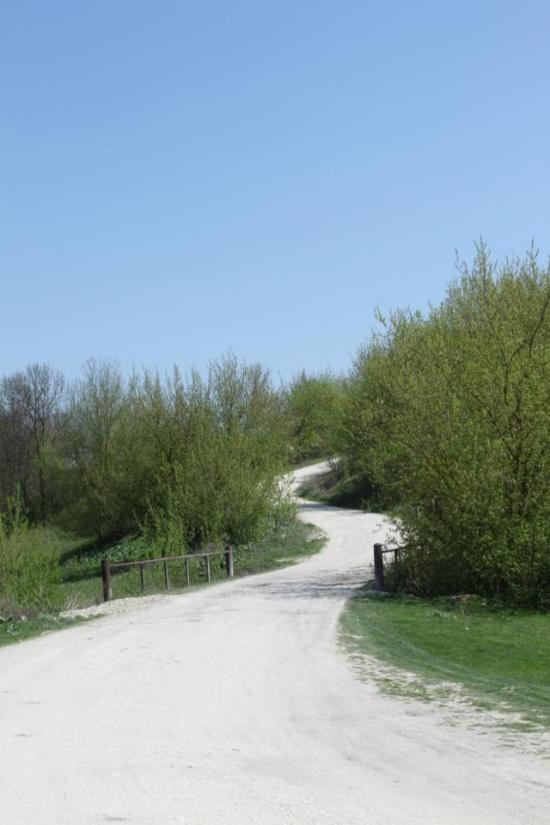 Токи з panoramio.com - Токи