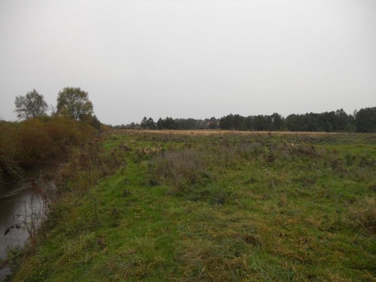 Григорів з panoramio.com - Григорів