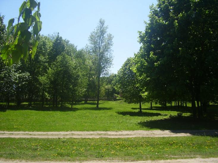 Рибальське з panoramio.com - Рибальське