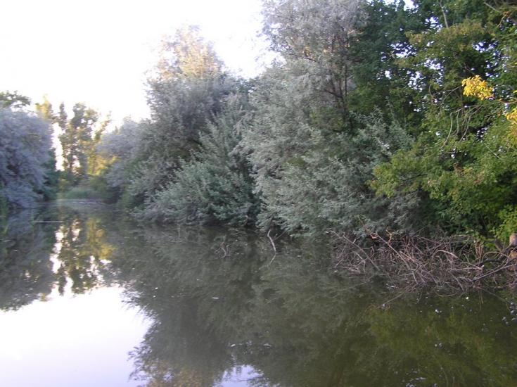 Зелений Колодязь з panoramio.com - Зелений Колодязь