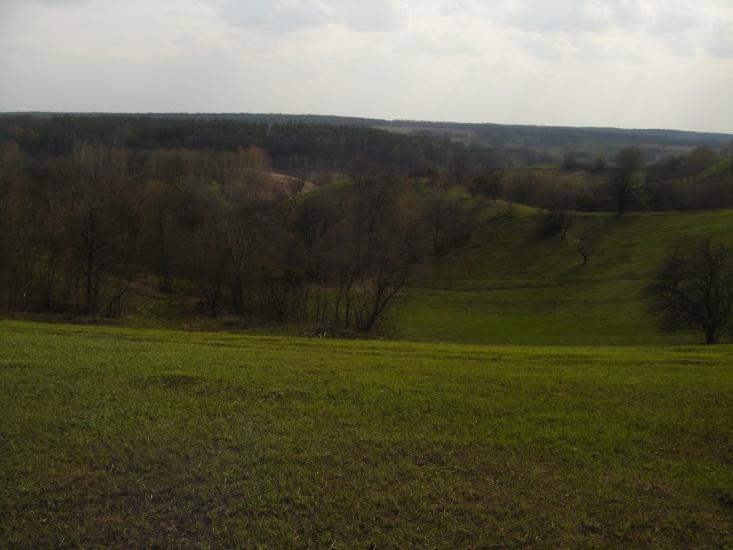 Гулі з panoramio.com - Гулі