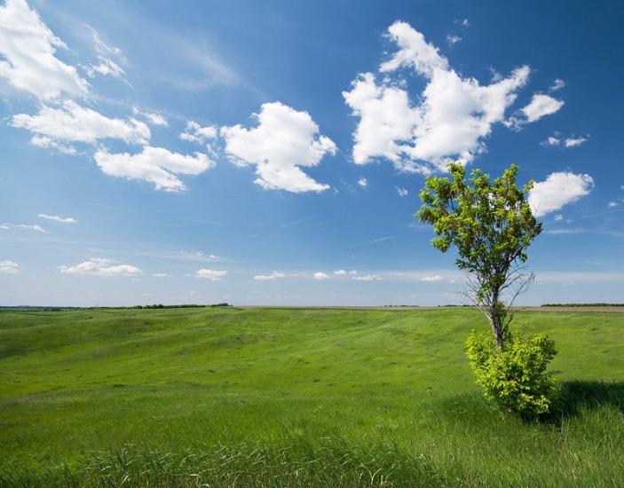 Миронівка з panoramio.com - Миронівка
