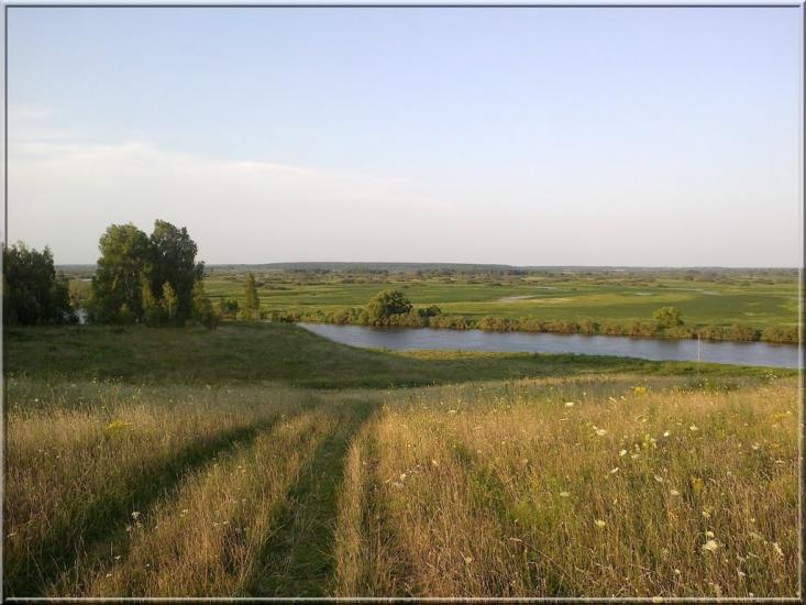 Рогівка з panoramio.com - Rogivka