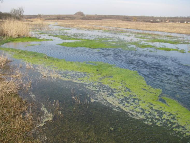Олексіївка з panoramio.com - Олексіївка