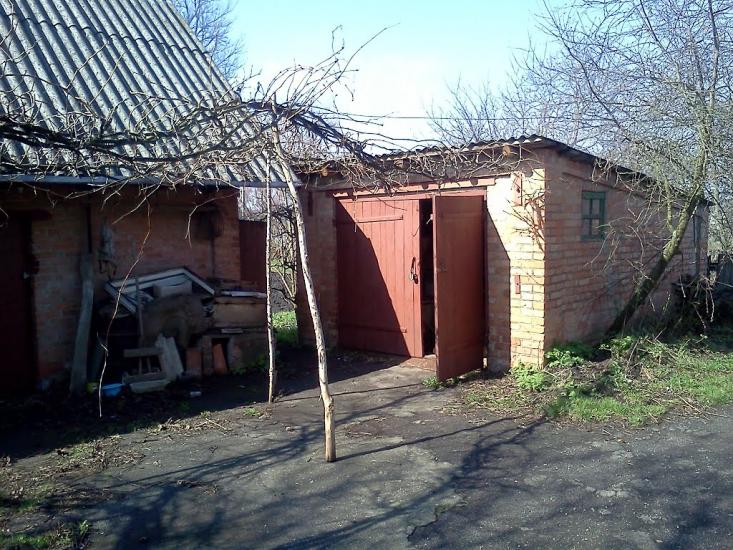 Буряки з panoramio.com - Буряки