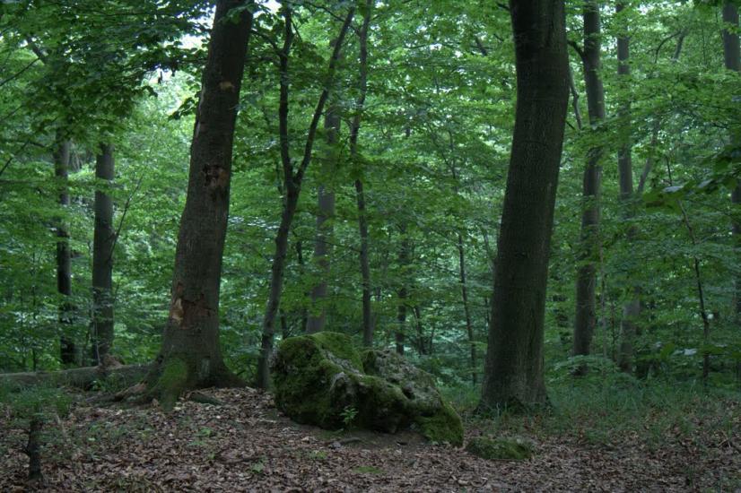 Дев'ятир з panoramio.com - Девятир