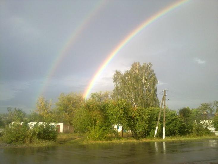 Веселий Кут з panoramio.com - Веселый Кут