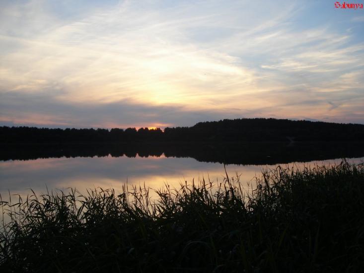 Топільне з panoramio.com - Topilne