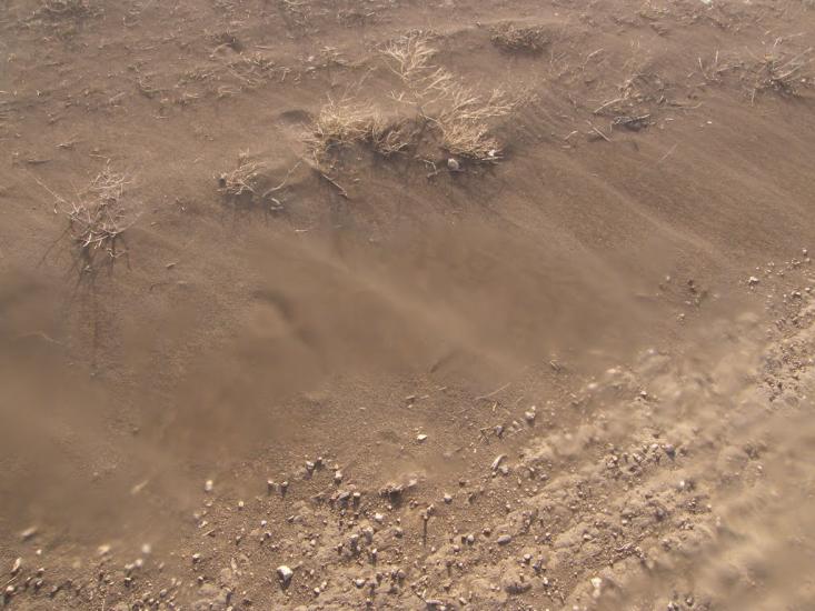 Тавричанка з panoramio.com - Тавричанка