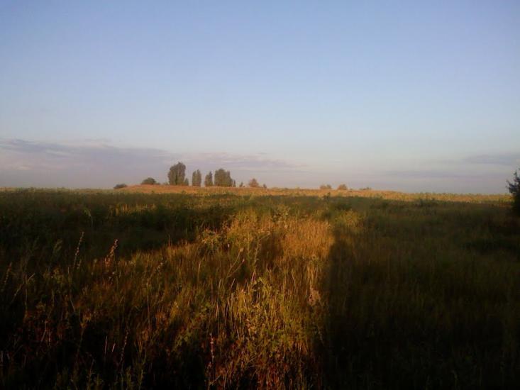 Вишневий Діл з panoramio.com - Вишневый Дол