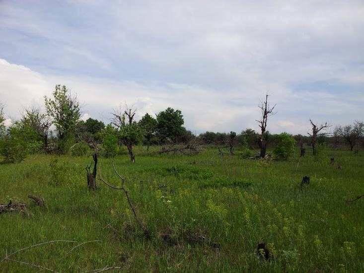 Хрящувате з panoramio.com - Хрящувате