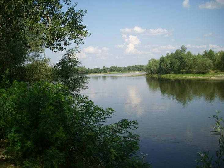 Вища Дубечня з panoramio.com - Высшая Дубечня