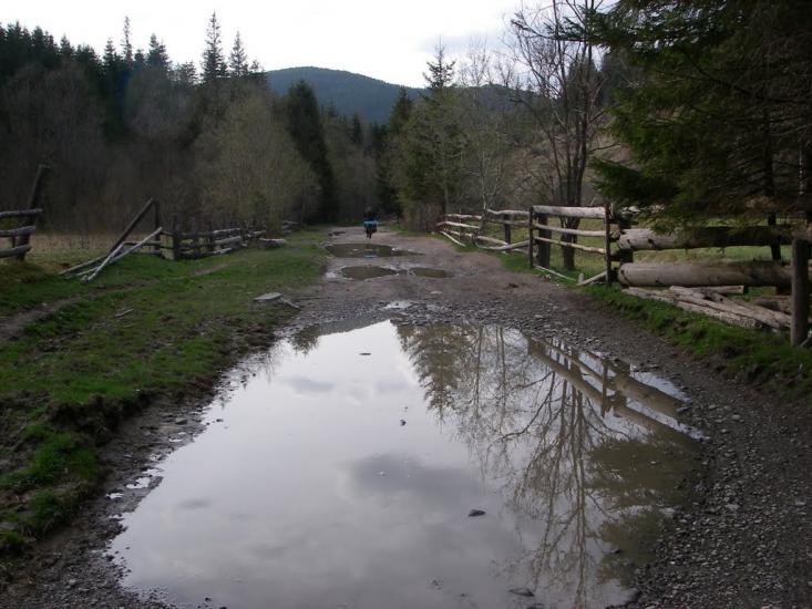 Нижній Яловець з panoramio.com - Nyzhniy Jalovets