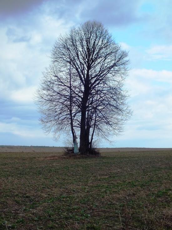Великі Макари з panoramio.com - Великі Макари