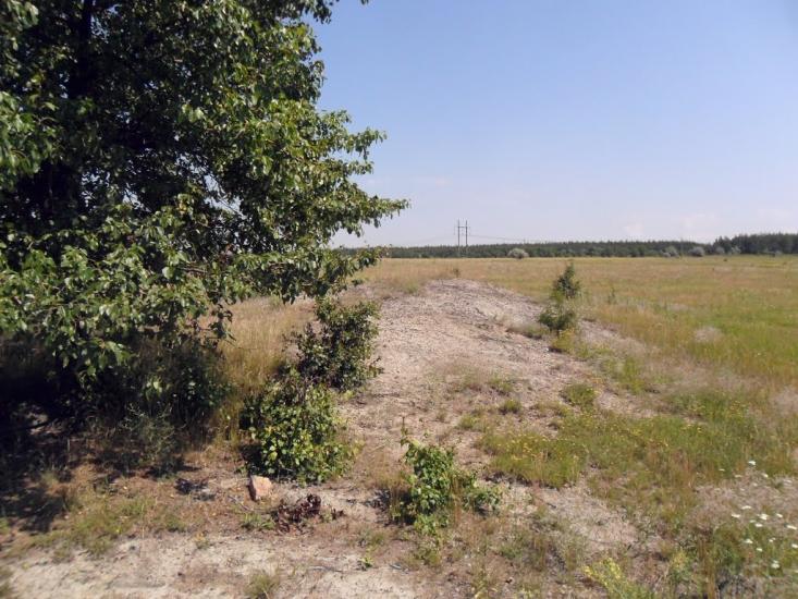 Щербинівка з panoramio.com - Щербинівка