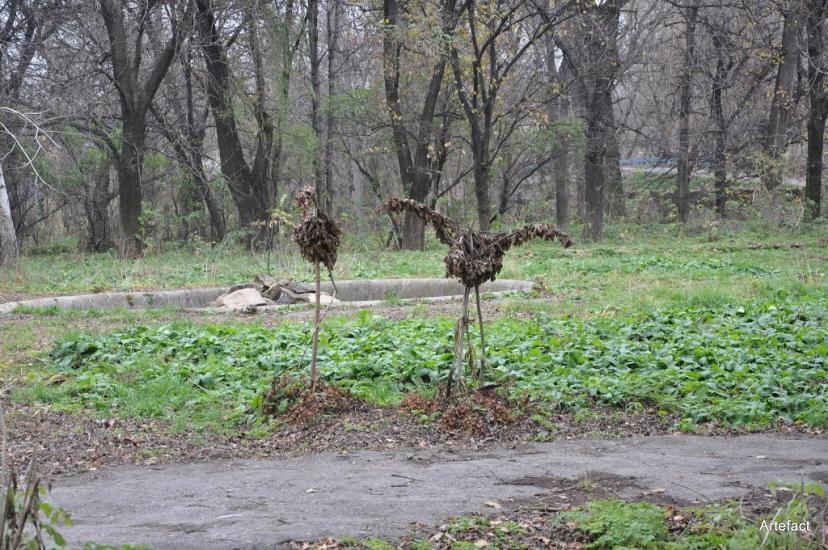 Селезнівка з panoramio.com - Селезневка
