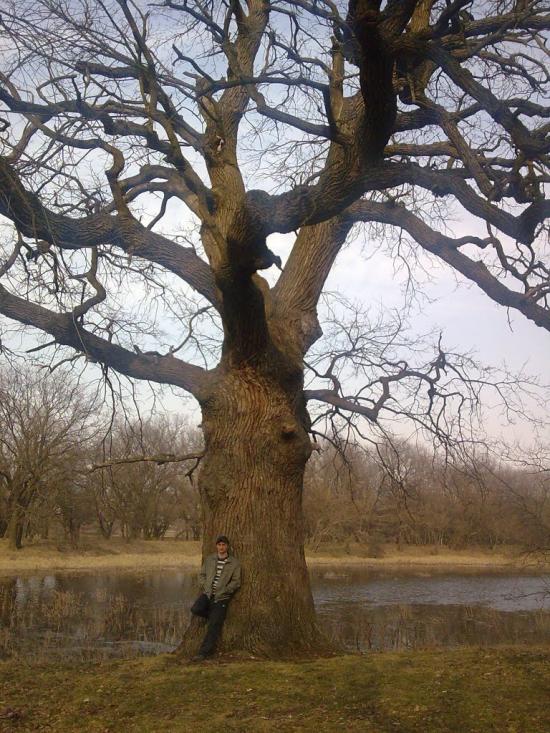 Кочережки з panoramio.com - Кочережки