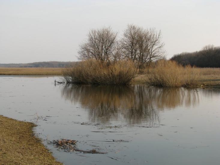 Кочережки з panoramio.com - Кочережки