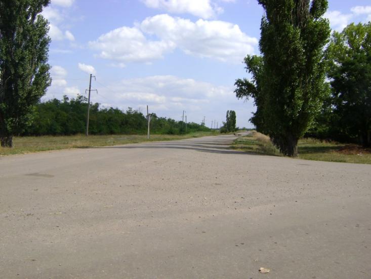 Комар з panoramio.com - Комар