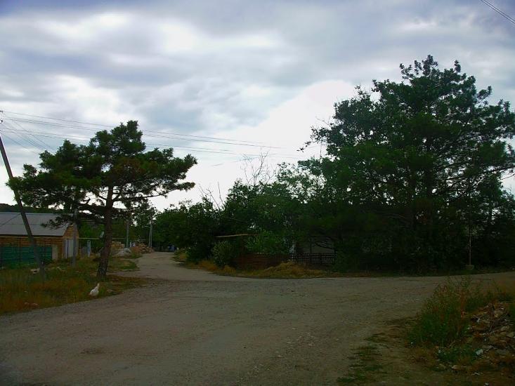 Шевченкове з panoramio.com - Шевченково