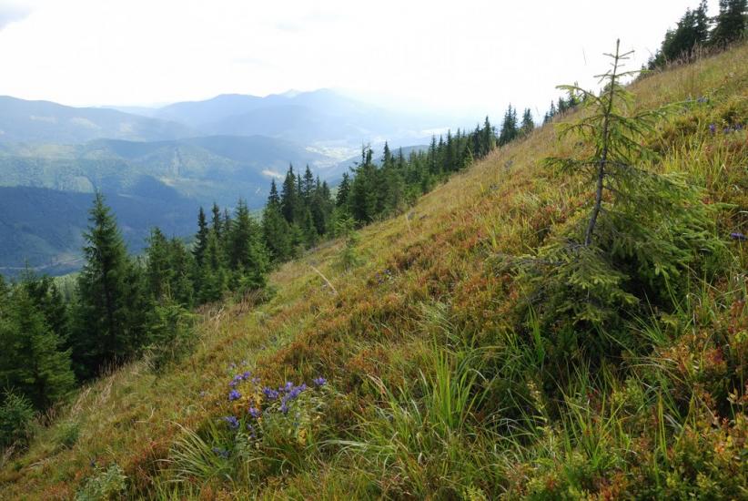 Згари з panoramio.com - Згари