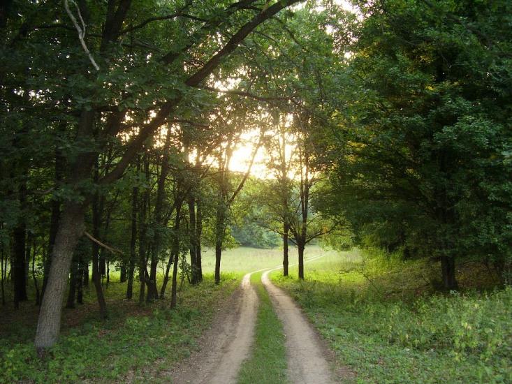 Рибальське з panoramio.com - Рибальське