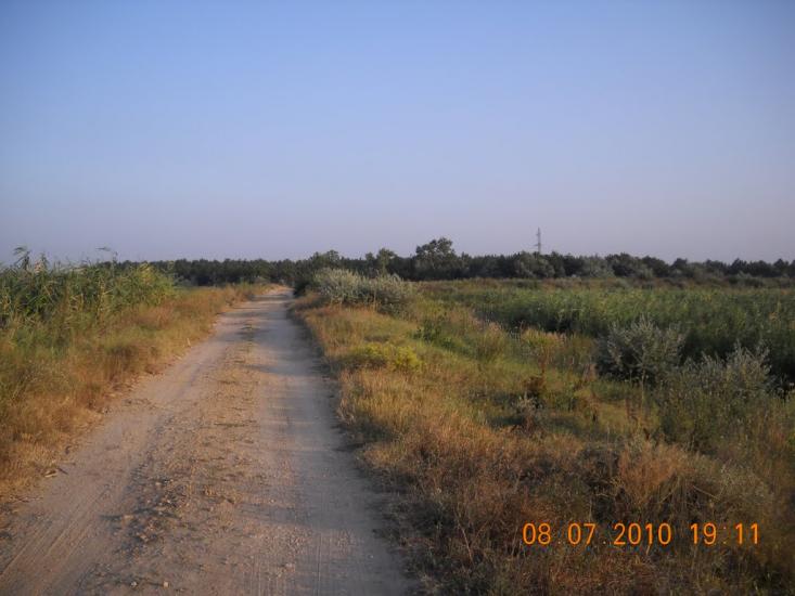 Солонці з panoramio.com - Солонцы