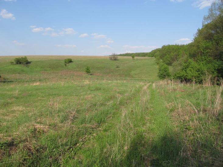 Веселий Кут з panoramio.com - Веселий Кут