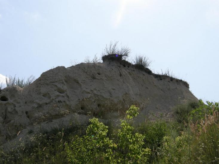 Мілуватка з panoramio.com - Меловатка