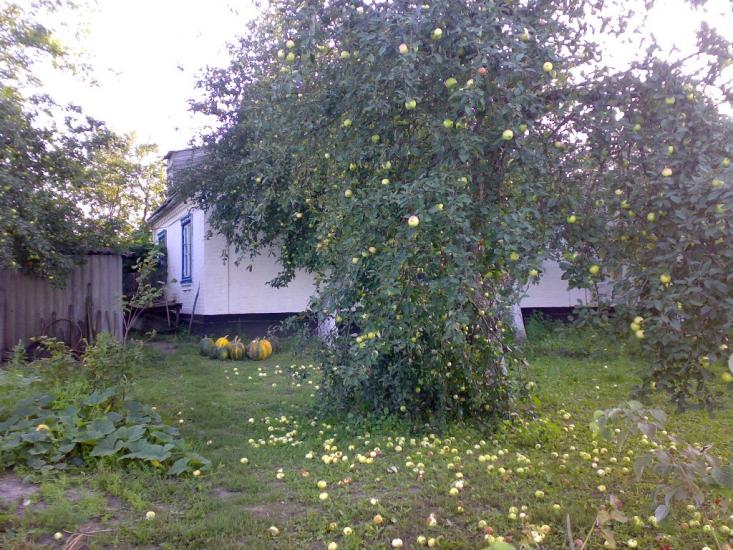 Яцьки з panoramio.com - Яцьки