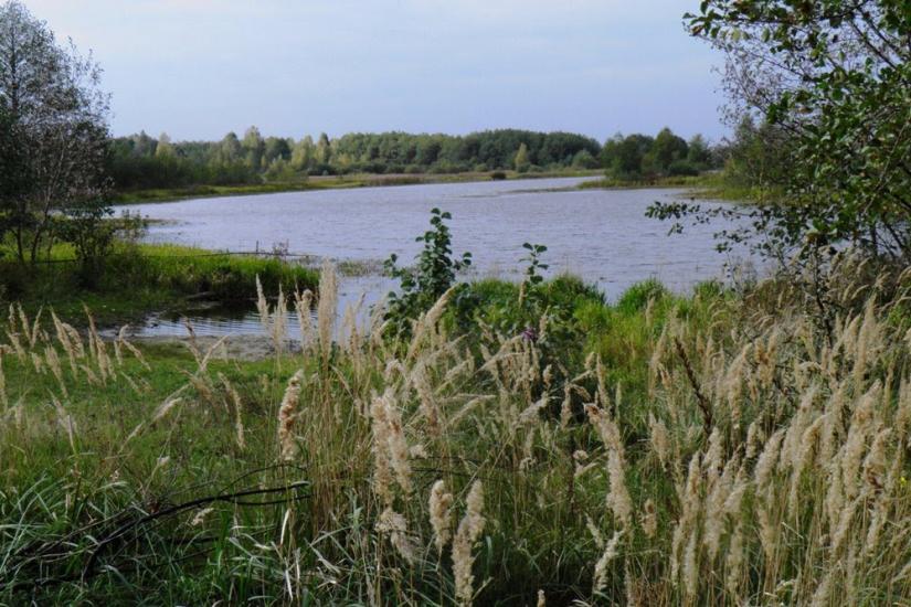 Млин з panoramio.com - Mlyn