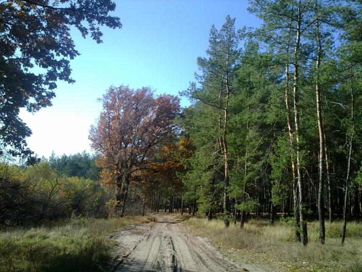 Красний Лиман з panoramio.com - Красный Лиман