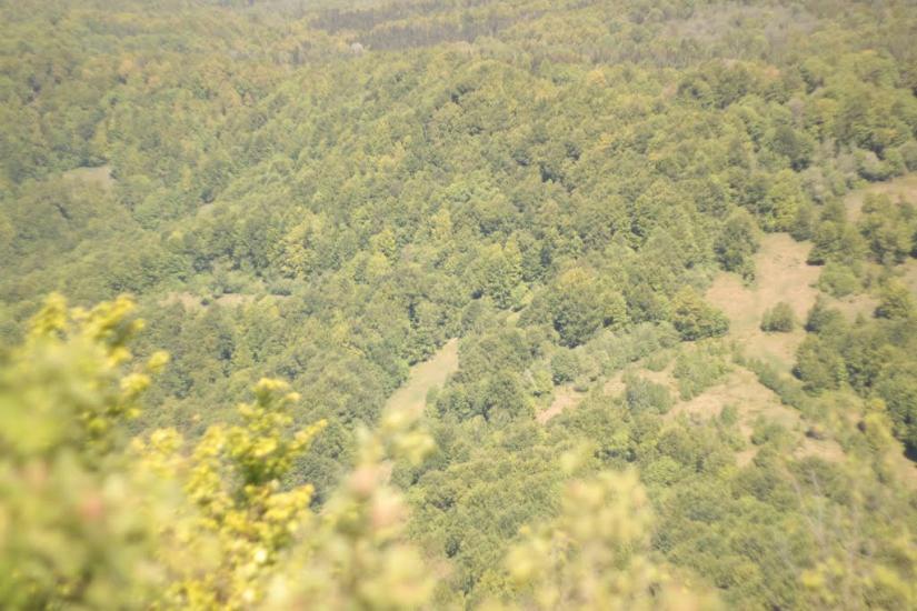 Верховина-Бистра з panoramio.com - Верховина-Быстрая