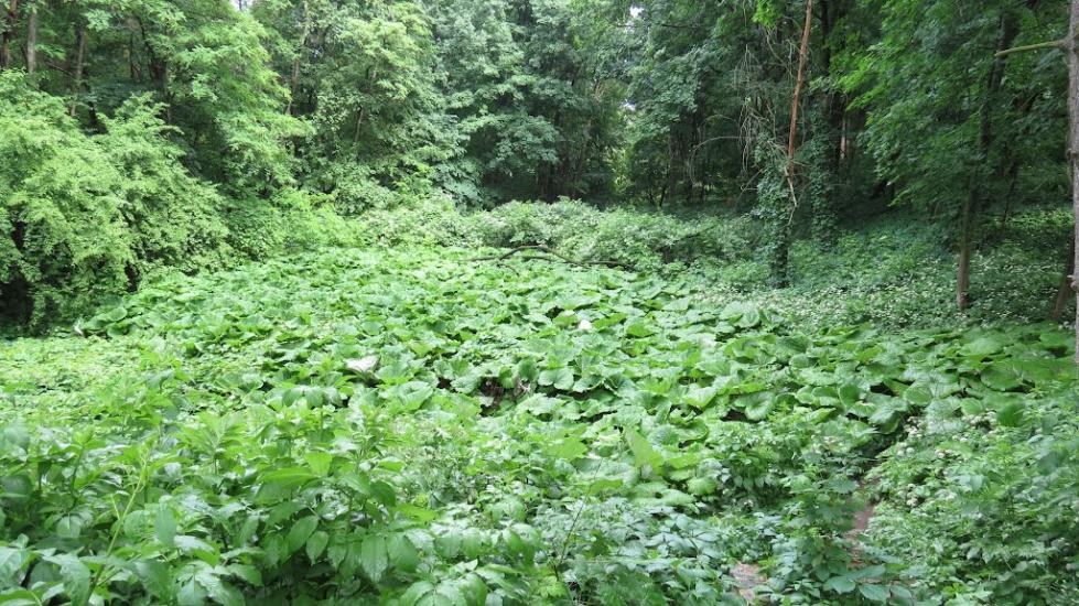 Краснокутськ з panoramio.com - Краснокутск