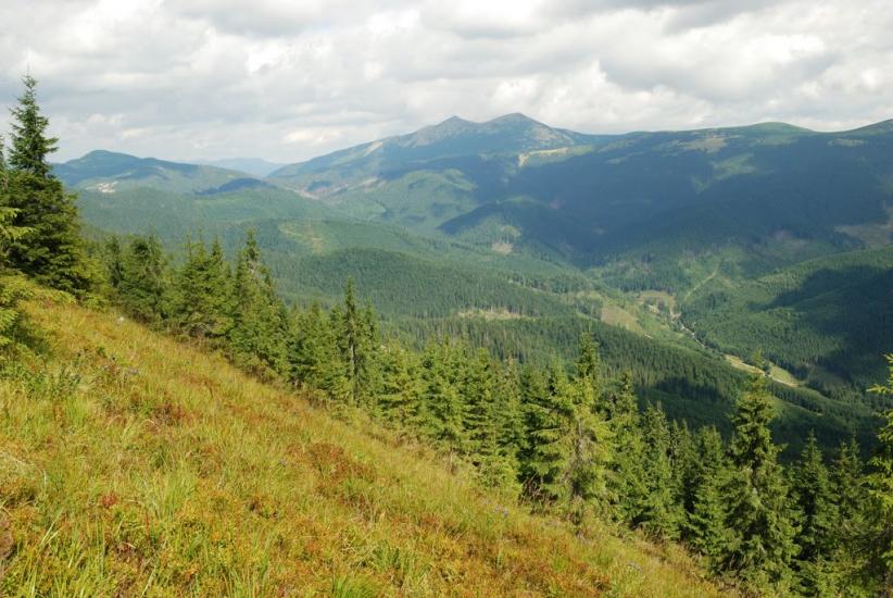 Згари з panoramio.com - Згары