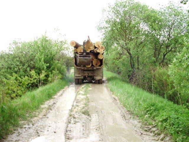 Острів з panoramio.com - Острів