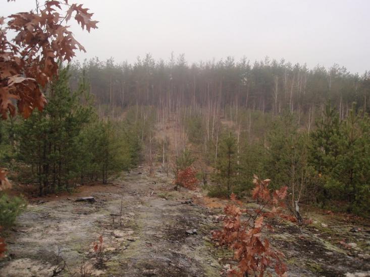 Гостомель з panoramio.com - Гостомель