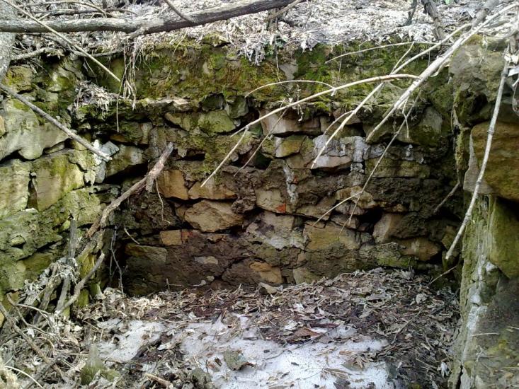 Білокузьминівка з panoramio.com - Білокузьминівка
