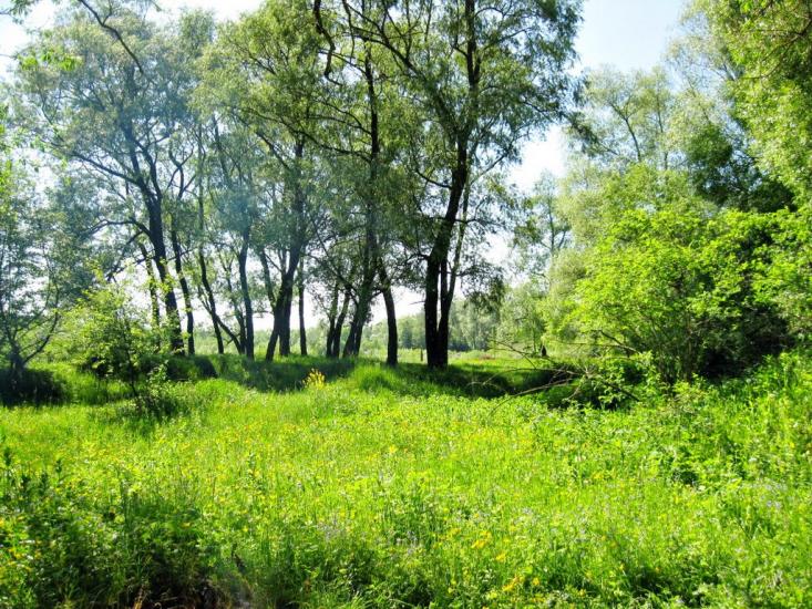 Панка з panoramio.com - Панка